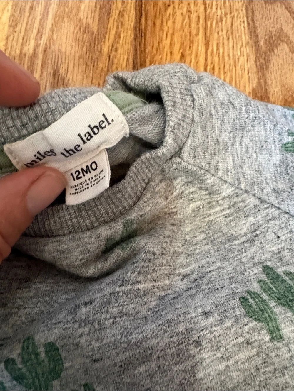 Miles the label set  12m Gray Cactus Sweatshirt & Jogger